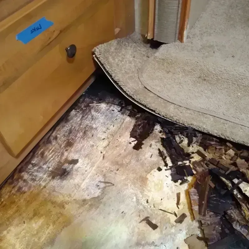 Wood Floor Water Damage in Louisville, GA